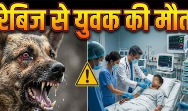 लापरवाही की डरावनी खबर, रैबीज से युवक की मौत, 5 महीने पहले कुत्ते ने काटा, जड़ी-बूटी के चक्कर में परिवार ने बेटे को खोया, अचानक बिगड़ी हालत