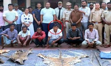 छत्तीसगढ़ में वन विभाग ने की बड़ी कार्रवाई, बाघ और तेंदुए के शिकार में शामिल डिप्टी रेंजर देवी प्रसाद सहित 9 आरोपियों को गिरफ्तार कर भेजा जेल