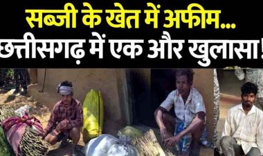 2 डिसमिल में लहलहा रही अफीम खेती का एक और खुलासा, भूपेश बघेल के बयान के बाद सियासत गरम, जांच की मांग तेज, 17 दिनों में पांचवा मामला