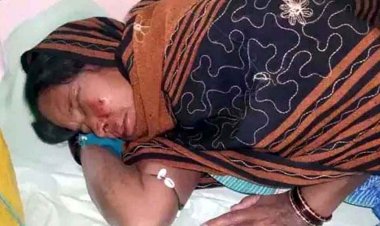 रात होते ही खेतों में पहुंच रहे हाथी, जंगल में 101 हाथियों की मौजूदगी, 8 किसानों की फसल बर्बाद, रौंदने के लिए दौड़ाया, महिला घायल, मचा हड़कंप