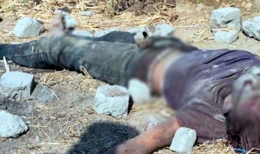 25 वर्षीय युवक की बेरहमी से हत्या, अज्ञात आरोपियों ने ईंट-पत्थर से मार-मारकर उतारा मौत के घाट, इलाके में दहशत का माहौल, जांच में जुटी पुलिस