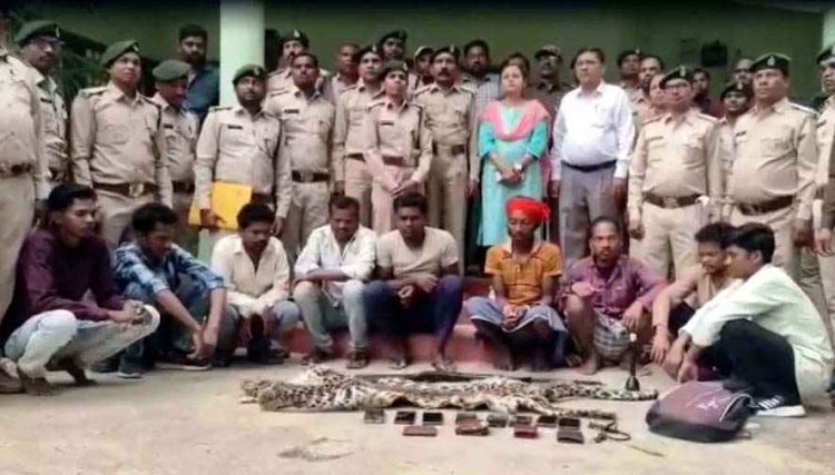 बंदूक से तेंदुए का शिकार कर खाल की तस्करी का प्रयास,वन विभाग की सख्ती से हुआ बड़े तस्कर गिरोह का खुलासा, 9 आरोपियों को किया गिरफ्तार