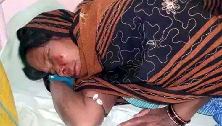 रात होते ही खेतों में पहुंच रहे हाथी, जंगल में 101 हाथियों की मौजूदगी, 8 किसानों की फसल बर्बाद, रौंदने के लिए दौड़ाया, महिला घायल, मचा हड़कंप