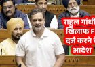 राहुल गांधी की बढ़ सकती हैं मुश्किलें, कथित दोहरी नागरिकता के मामले में इलाहाबाद हाईकोर्ट  ने दिया FIR दर्ज करने का आदेश, सीबीआई करेगी जांच
