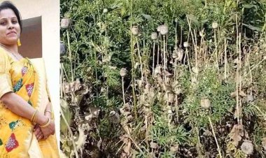 कर्मचारियों के अनिश्चितकालीन हड़ताल के बाद अफीम खेती में निलंबित दुर्ग की कृषि विस्तार अधिकारी एकता साहू बहाल, सात लोग भेजे गए जेल