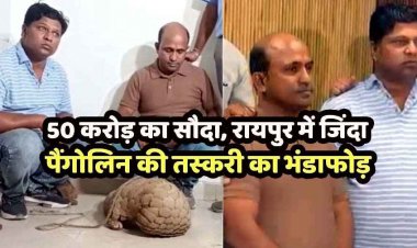 रायपुर में तस्करी का भंडाफोड़, जिंदा पैंगोलिन के साथ 2 तस्कर गिरफ्तार, 50 करोड़ के सौदे की कोशिश नाकाम, वन विभाग ने झोपड़ी से किया बरामद
