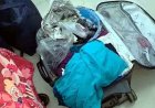 सूटकेश में गौमांस की तस्करी, दो महिलाएं बिलासपुर रेलवे स्टेशन से गिरफ्तार, जांच में जुटी पुलिस, पूछताछ जारी