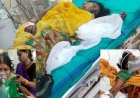 जंगल में रोज़ी-रोटी की तलाश बनी खतरा, तेंदूपत्ता तोड़ने गए ग्रामीणों पर जंगली सूअर का हमला, 10 घायल, गांव में दहशत का माहौल, सुरक्षा व्यवस्था पर उठे सवाल