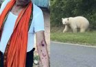 गरियाबंद जिले में तेंदुए की दस्तक, रात में अकेले बाहर निकलने पर रोक, अलर्ट मोड पर वन विभाग, इधर सफेद भालू ने ग्रामीण पर किया जानलेवा हमला, मचा हड़कंप