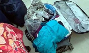 सूटकेश में गौमांस की तस्करी, दो महिलाएं बिलासपुर रेलवे स्टेशन से गिरफ्तार, जांच में जुटी पुलिस, पूछताछ जारी