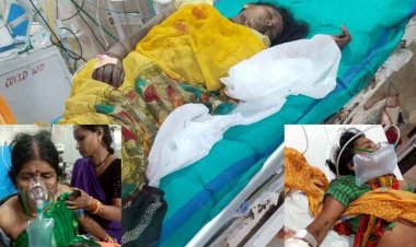 जंगल में रोज़ी-रोटी की तलाश बनी खतरा, तेंदूपत्ता तोड़ने गए ग्रामीणों पर जंगली सूअर का हमला, 10 घायल, गांव में दहशत का माहौल, सुरक्षा व्यवस्था पर उठे सवाल