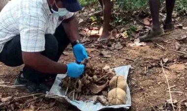 6 साल से लापता प्रेमी जोड़े का जमीन में दफन मिला कंकाल, कपड़ों से हुई पहचान, इलाके में फैली सनसनी, हत्या या हादसा?, जांच में जुटी पुलिस