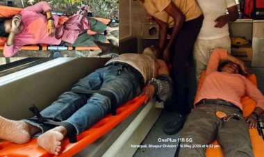 छत्तीसगढ़ की गुफा में शोध के दौरान मधुमक्खियों का हमला, साइंटिस्ट-रिसर्चर और वनकर्मी घायल, अस्पताल में भर्ती, मौके पर मची अफरा-तफरी