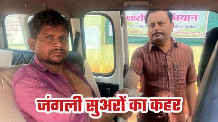 फिंगेश्वर में खेत गए किसान पर अचानक जंगली सुअर का ताबड़तोड़ हमला, हमले से  ग्रामीण गंभीर रूप से हुआ घायल, वन विभाग ने जारी किया अलर्ट