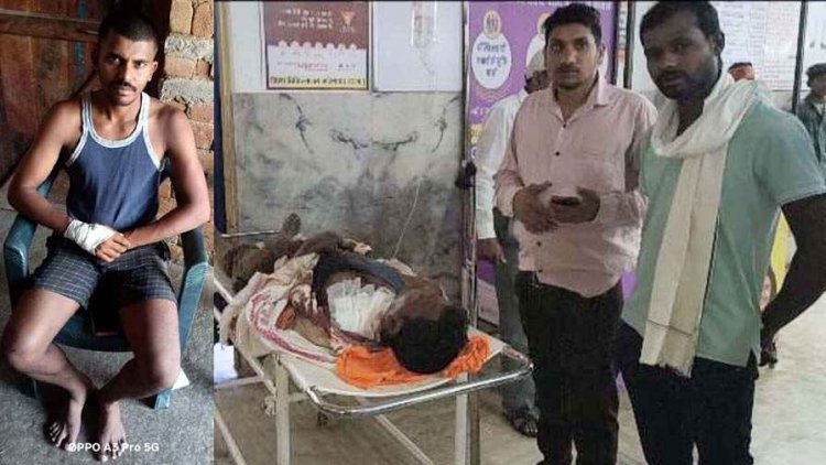 पाण्डुका में तेंदूपत्ता तोड़ने गए ग्रामीण पर जंगली सूअर का हमला, घायलों में 2 पुरुष और दो महिला शामिल, इधर श्यामनगर हरदी में ग्रामीणों पर 6 भालुओं का हमला
