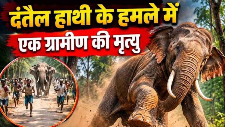 दंतैल हाथी के हमले में ग्रामीण की मौत, इलाके में चीख-पुकार और दहशत का माहौल, नाराज लोग बोले- बंगले में बिजली-एसी नहीं इसलिए नहीं रुकते अधिकारी
