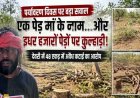पर्यावरण दिवस पर उठ रहा बड़ा सवाल, ‘एक पेड़ मां के नाम’ और इधर हजारों पेड़ों पर चल रही कुल्हाड़ी, देवरी में 48 एकड़ जमीन पर अवैध कटाई का आरोप