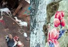 सड़क किनारे सो रहे 2 मजदूरों को हाथी ने कुचला, सड़क-निर्माण में लगे दो श्रमिकों की मौत, इधर घर-बाड़ी में घुसकर तेंदुए ने किया बकरियों का शिकार