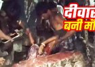 आंधी-तूफान से बड़ा हादसा, लेबर क्वार्टर पर बाउंड्री वॉल गिरने से प्रेग्नेंट महिला की मौत, कई मजदुर दबे, दंपती गंभीर-घायल, कांग्रेस ने बनाई जांच टीम