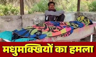 जंगली जानवरों का खतरा, मधुमक्खियों का जानलेवा हमला, इलाज के दौरान सास ने तोड़ा दम, जिंदगी और मौत के बीच जूझ रहा दामाद, गांव में पसरा मातम