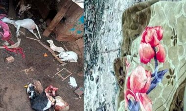 सड़क किनारे सो रहे 2 मजदूरों को हाथी ने कुचला, सड़क-निर्माण में लगे दो श्रमिकों की मौत, इधर घर-बाड़ी में घुसकर तेंदुए ने किया बकरियों का शिकार
