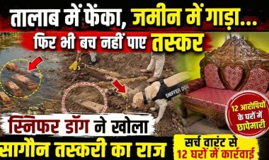 सूंघते-सूंघते पहुंचा जंगल का जासूस, खोला तस्करी का राज, वरुण जैन की टीम ने तालाब, मंदिर और खेतों से ढूंढ निकाली छुपाई सागौन की लकड़ियां