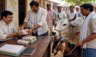 छत्तीसगढ़ में चाहिए पट्टा तो बकरा लाओ : काम के बदले रिश्वत में गाय-बैल तक मांगने वाले पटवारी की अधिकारियों से शिकायत, आरोपी फोन बंद कर फरार