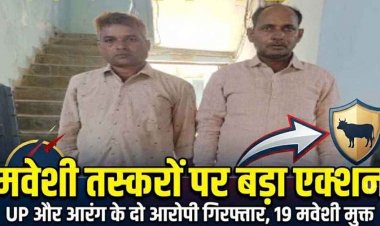 धमतरी के बाद आरंग में आधी रात मवेशी तस्करों पर एक्शन, फिल्मी स्टाइल में घेराबंदी कर दो आरोपी को किया गिरफ्तार, माजदा वाहन से 19 गोवंश बरामद