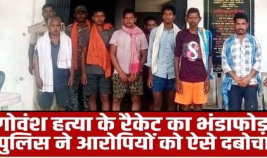 छत्तीसगढ़ में गौ हत्या के 7 आरोपी गिरफ्तार, गौवंश की जान लेकर करते थे ऐसा काम, जानकर पुलिस के भी उड़े होश, सात आरोपियों को भेजा जेल