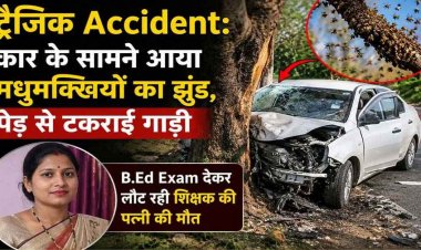 कार के सामने आया मधुमक्खियों का झुंड, पेड़ से टकराई गाड़ी, B.Ed Exam देकर लौट रही शिक्षक की पत्नी की मौत, बाल-बाल बचे परिवार के बाकी सदस्य