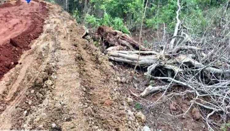 प्रधानमंत्री ग्राम सड़क योजना के नाम पर जंगलों पर चल रहा बुलडोजर, वन विभाग की चुप्पी तरह-तरह की आशंकाओं को दे रही जन्म, लोगों में आक्रोश