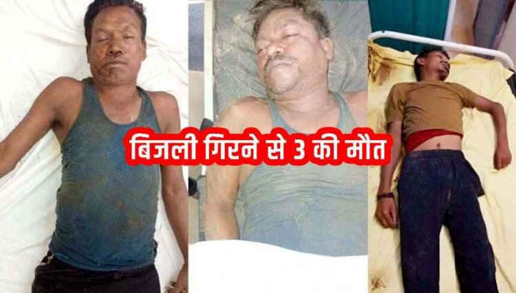 मनरेगा कार्यस्थल पर गिरी आकाशीय बिजली, बारिश से बचने पेड़ के नीचे खड़े उपसरपंच समेत 3 मजदूरों की दर्दनाक मौत, 5 गंभीर घायल, गांव में पसरा मातम