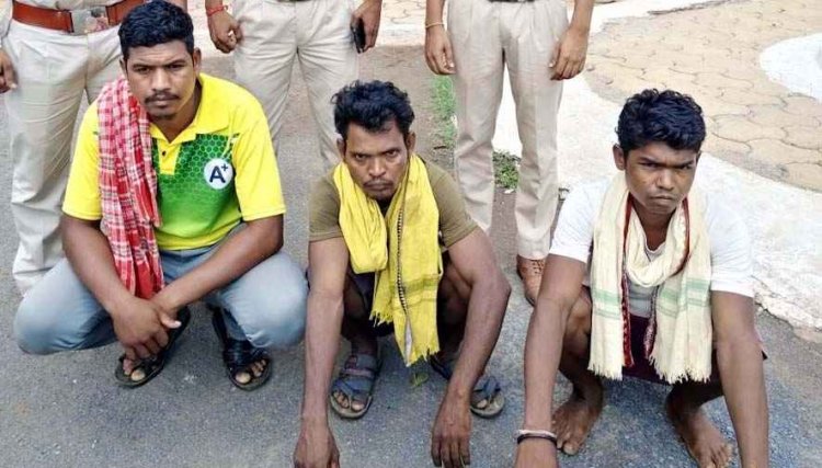गांव में सर्च ऑपरेशन, 13 संदिग्धों के घरों की तलाशी, शिकार के फंदे-सागौन स्लीपर और वन्यजीव अवशेष भारी मात्रा में बरामद, 6 आरोपी गिरफ्तार