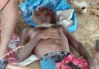 खदान में गिरी आकाशीय बिजली, मजदूरी कर रहे पति-पत्नी की मौत, शाम तक घर नहीं लौटने पर की तलाश, मौके पर मिले शव, गांव में शोक की लहर