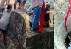 अभनपुर में इंसानियत की मिसाल, पगड़ी बनी जीवन रक्षक रस्सी, न्यूजीलैंड से आए NRI सिख भाइयों ने दिखाई सूझबूझ, कुएं में गिरे शख्स की बचाई जान