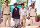 राजिम इलाके के खेत से समर्सिबल पंप और केबल वायर चोरी, पुलिस ने 24 घंटे में किया खुलासा, दो आरोपी गिरफ्तार होकर पहुंचे सलाखों के पीछे