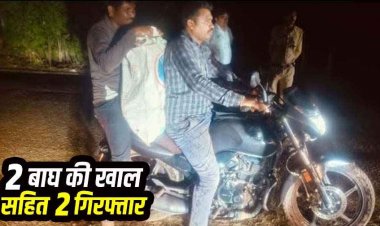 अंतर्राज्यीय वन्यजीव तस्करी गिरोह का बड़ा खुलासा, 2 बाघों की खाल के साथ दो तस्कर गिरफ्तार, बाघ खाल की तस्करी नाकाम, एक का पंजा गायब