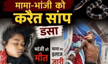 सोते समय मामा-भांजी को करैत सांप ने डसा, 10 वर्षीय मासूम बच्ची की मौत, मामा ICU भर्ती, मामा भांजी की हालत नाजुक, गांव में शोक की लहर