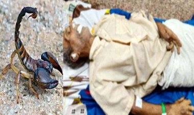 जहरीले बिच्छू ने छीनी खेत में काम करते वक्त किसान की जिंदगी, एक डंक और सब खत्म!, इलाज के दौरान तोड़ा दम, धमतरी से सामने आई दर्दनाक घटना