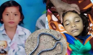खाट पर सो रही 8 साल की बच्ची, आधी रात करैत सांप बनकर पहुंचा 'यमराज' का दूत, फिर जो हुआ जानकर फट जाएगा कलेजा!, गांव में पसरा मातम