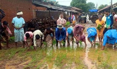 सड़क निर्माण में देरी पर फूटा ग्रामीणों का गुस्सा, सड़क पर धान की रोपाई कर जताया विरोध, नागर भी चलाया, अनोखा प्रदर्शन कर दी उग्र आंदोलन की चेतावनी