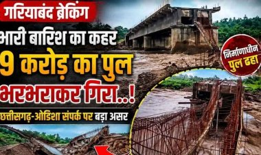 मूसलाधार बारिश का कहर, वन विभाग परिसर में बोलेरो पर गिरा विशाल पेड़, गांव में घुसा पानी, 9 करोड़ का निर्माणाधीन पुल भरभराकर गिरा, 20 घंटे बाद खुला हाइवे
