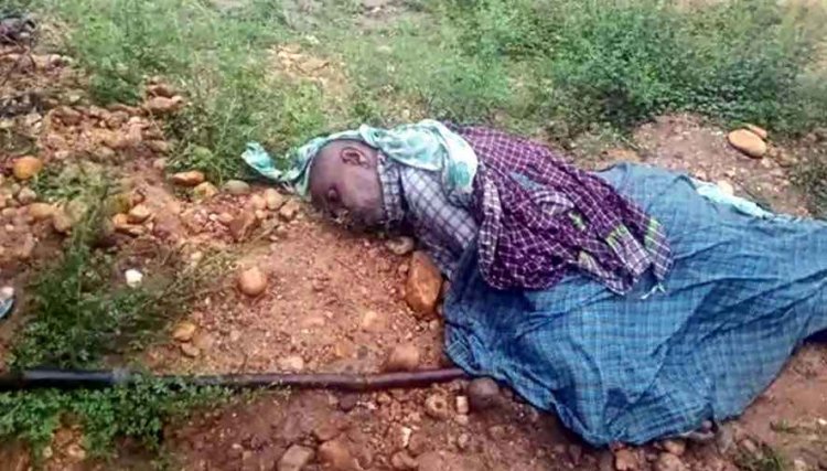 आसमानी बिजली गिरने से किसान की मौत, खेत में धान की रोपाई करते समय हादसा, शहर में दिन भर रूक-रूककर जमकर हो रही बारिश