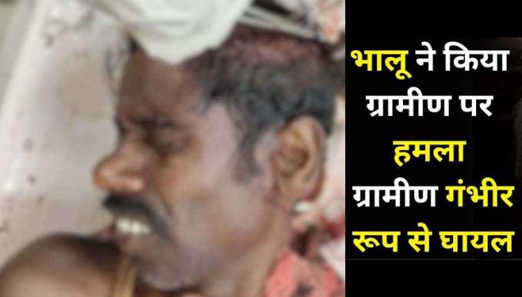 दिल दहला देने वाली घटना, घर के पास भालू ने ग्रामीण पर किया जानलेवा हमला, जान बचाने भिड़ गया ग्रामीण, गंभीर रूप से घायल, जिला अस्पताल रेफर
