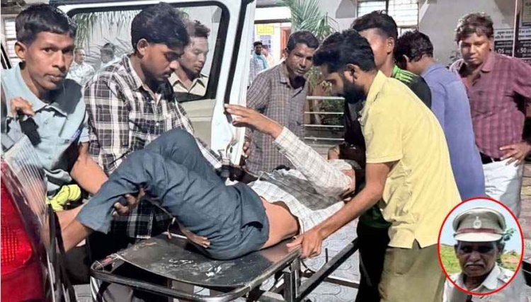 NH-130C पर ट्रक से आमने-सामने टक्कर, रेंजर की मौत, 9 अधिकारी-कर्मचारी घायल, सरकारी बोलेरो के उड़े परखच्चे, वन विभाग में शोक की लहर