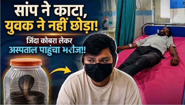हिम्मत हो तो ऐसी!, रेस्क्यू के दौरान कोबरा ने डसा तो उसी जिंदा सांप को डिब्बे में बंद कर अस्पताल पहुंच गया युवक, डॉक्टर भी रह गए हैरान