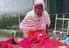 डेढ़ महीने के भाई के लिए बनाया झूला, खेलते समय गमछे में फंसा गला, खेल-खेल में 10 वर्षीय मासूम बच्ची ने तोड़ा दम, इलाके में पसरा मातम