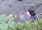 रायपुर में मंदिर के पीछे मिली अज्ञात युवती की लाश, शव के पास मिला मोबाइल, हादसा या आत्महत्या, सभी एंगल से जांच में जुटी पुलिस