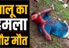 नहीं थम रहा भालू का आतंक, मवेशी चराने जंगल गए ग्रामीण पर रीछ ने किया जानलेवा हमला, अस्पताल ले जाते वक्त तोड़ा दम, गांव में दहशत का माहौल