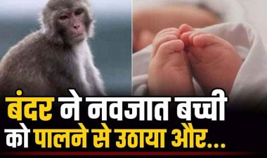 बंदर ने 5 महीने की नवजात बच्ची को पालने से उठाया और मासूम को पानी भरे नीले ड्रम में डाला, हालत नाजुक, इलाज जारी, उत्पात से गांव में दहशत का माहौल